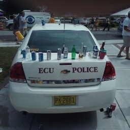 #PirateNation or die