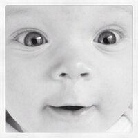 Andy Nice (@kindernice) 's Twitter Profile