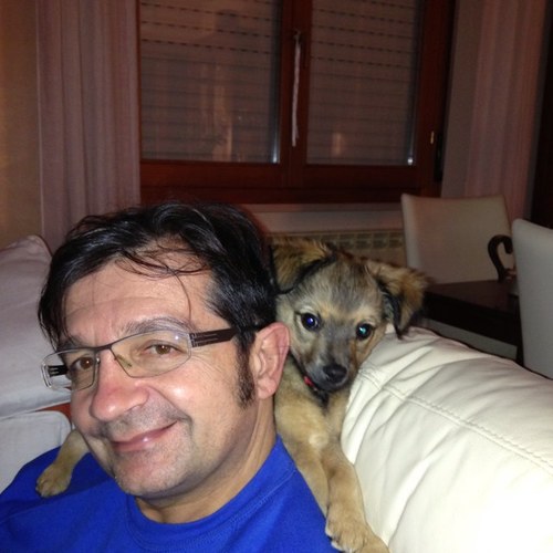 tausfrancesco's profile picture. 