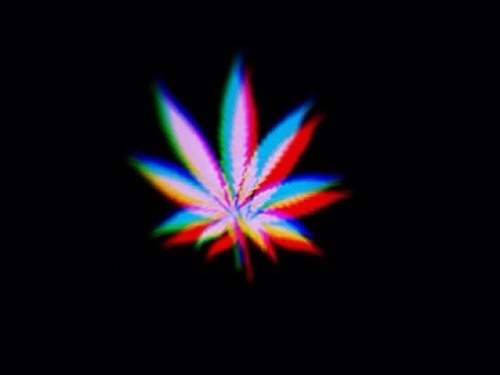 Skysheldon's profile picture. Stoners live and stoners die
But in the end we all get high
So if in Life you dont succeed
FUCK THIS SHIT AMD SMOKE SOME WEED