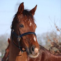 Sandra Dunstan (@sandrad888) 's Twitter Profile