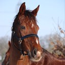 Sandra Dunstan - @sandrad888 - Twitter