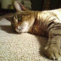 jane clark (@jane_r_c) 's Twitter Profile