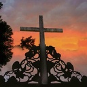 Ray of Hope - @Ray_of_Hope12 - Twitter