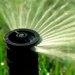 Asperintel's profile picture. 