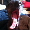 Vincent Holman - @hotcockalatte - Twitter