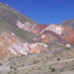 VIVIANA89455173's profile picture. 