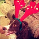 Heather Hoak - @hhoak64 - Twitter