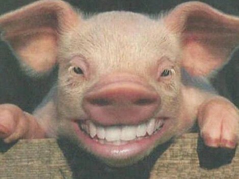 turrijas21's profile picture. Conocimientos de la vida: nivel usuario