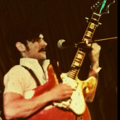 I play guitar and write songs. If you want anything done right do it yourself.