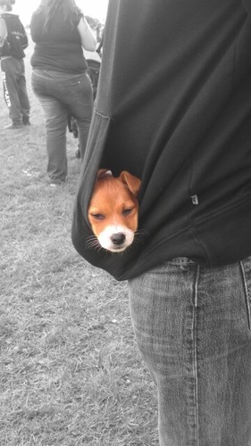 tracymshine's profile picture. 