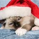 amber danielle knox - @amberdaniellekn - Twitter