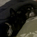 david cabot - @perlanegra17 - Twitter