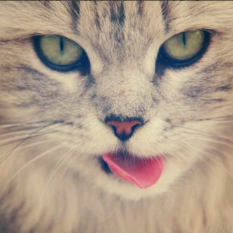 'Follow me and I'll follow you back ♡