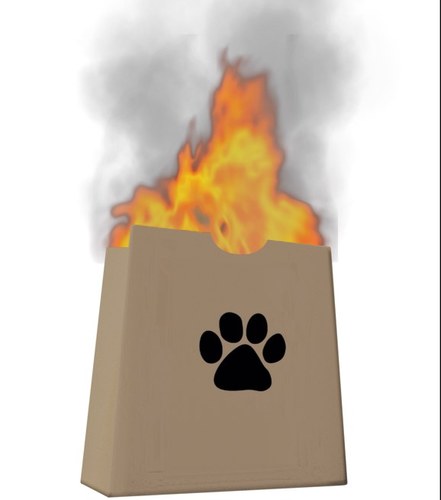 Regularly offering the coveted flaming bag of poo prize for the world's most deserving recipients.