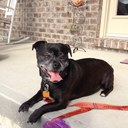 rachel siler - @cozmicgurl - Twitter