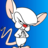 quella's profile image