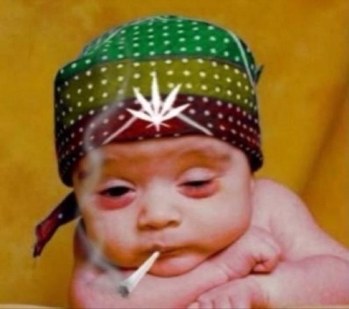 HighKidProblems's profile picture. Official HighKidProblems twitter #highkid #highlife #420