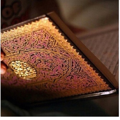 D_Alwalden's profile picture. هذا الحساب يغرد تغريدات و أدعيه للوالدين ومن يحب ان يساهم في نشر أدعيه لهم في ميزان حسناتكم ولِوالديكم ( ولوالديه رحمهم الله وادخلهم الجنة ) hfbi95@gmail.com