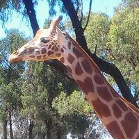 Anthony Elmore (@elmoreanthony) 's Twitter Profile Photo