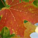 Drew Ware - @Drew_Ware - Twitter