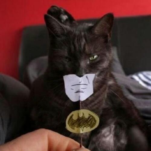 Kim_BuJang's profile picture. 본계정 블락되고 다시 돌아온 폭트쟁이 / 초긍정주의자/ 경기도 광명 / 85 / 레저스포츠 동아리 UNIT / 볼링 / 삶은 사람에서 시작해서 사람으로 끝난다 ^^