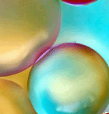 dokugen's profile picture. テスト、ゆるいつながりがいい。