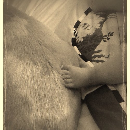 annehenshaw79's profile picture. 