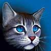 ThunderClan medicine cat. Relationship status: It's complicated (and includes time travelling.) Blind and pessimistic. On the run from fan-girls.