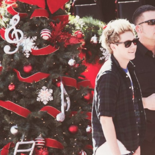 Hey i'm Niall. I like food. Im a special leprechaun! [RP/FL] talk to mee! [single/bi]