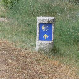 Que els teus camins si no són lliures de pedres, almenys tinguin arbres.Que tus caminos si no están libres de piedras, al menos tengan árboles.