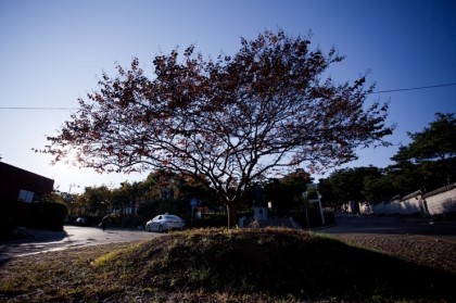 elsw2000's profile picture. 