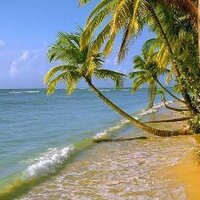 asi (@asivedeli342) 's Twitter Profile