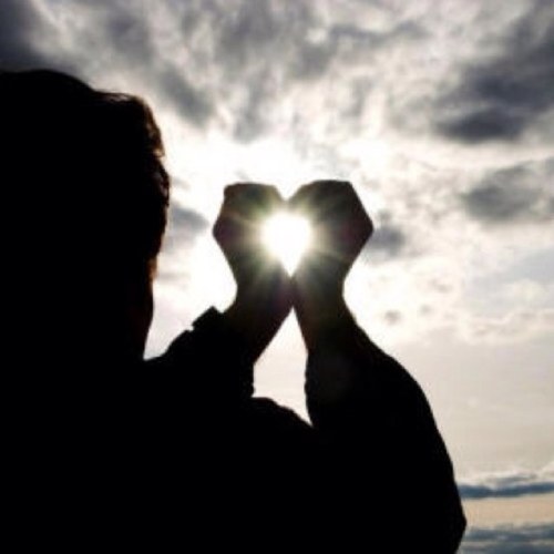 soonsoobrain's profile picture. 