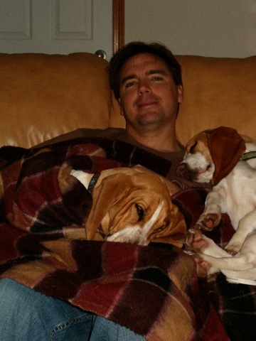 paulgroves75's profile picture. basset hound Dad
