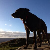 Ray (@pennock66) 's Twitter Profile