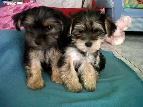 mari13_tete's profile picture. 