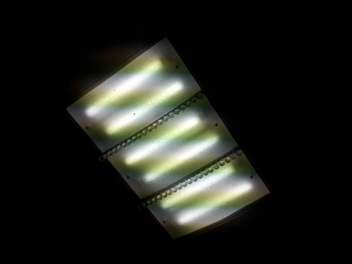 hotbody2580's profile picture. 죄명이만 꺼진다면 악마도 찍어준다