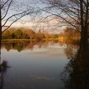 albert west - @WestAlbert - Twitter