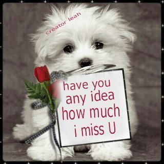 reyes_nanette's profile picture. 