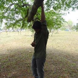 An Ordinary Man ,currently am Engineer, trying to be better and happier human.
