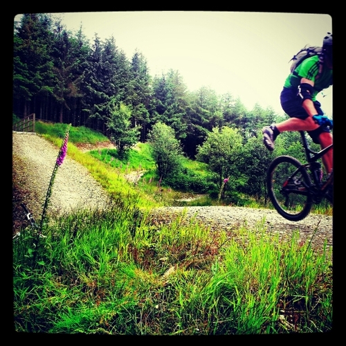 m0nkeyburger's profile picture. Wide bars, short stem. Carrier of fig rolls.