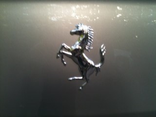 jandreasAvaya's profile picture. 