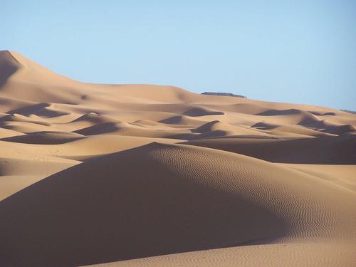 tarracopanda's profile picture. Equipo de Tarragona destinado a realizar la PandaRaid. Un rally cuyo objetivo es exclusivamente solidario. Esperamos vuestra colaboración :)