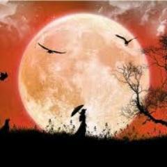 piecorps's profile picture. Kpop, 음악, 시크릿, 엠블랙, 블락비, 에일리, 가수, 정치,