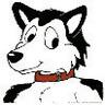 KayshoHusky's profile picture. I wag; therefore, I am. Dual posting to kayshohusky@animal.business and kayshohusky@bsky.social