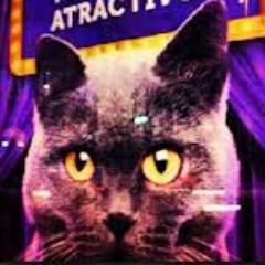 GatusoGaston's profile picture. 