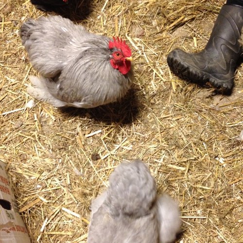 TOVOST71's profile picture. 