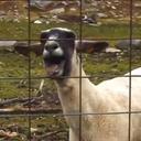 Michael Flanders - @StyperinoMF - Twitter