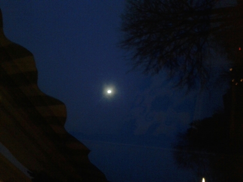 deweinigtweeter's profile picture. volg mij voor weinig tweets op je tl